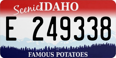 ID license plate E249338