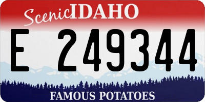 ID license plate E249344