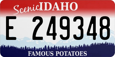 ID license plate E249348