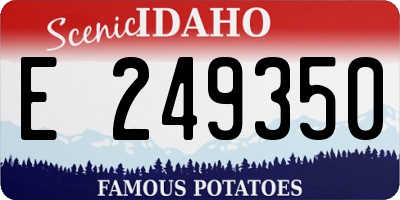 ID license plate E249350