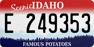 ID license plate E249353