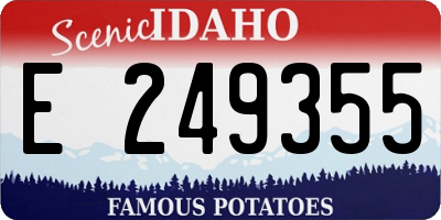 ID license plate E249355