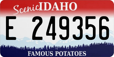 ID license plate E249356