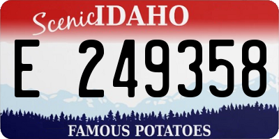 ID license plate E249358