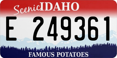 ID license plate E249361