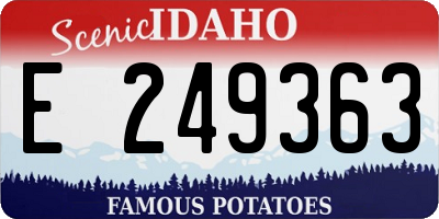 ID license plate E249363