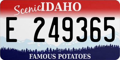 ID license plate E249365