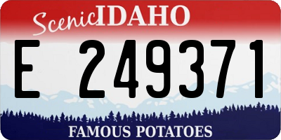 ID license plate E249371