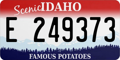 ID license plate E249373