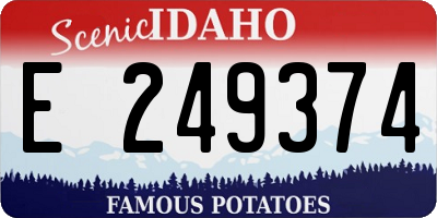 ID license plate E249374