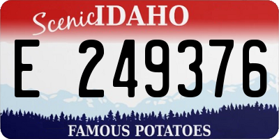 ID license plate E249376