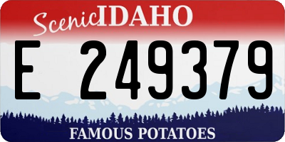 ID license plate E249379