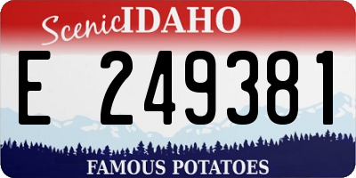 ID license plate E249381