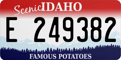 ID license plate E249382