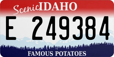 ID license plate E249384