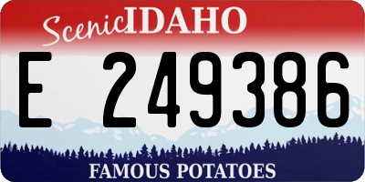 ID license plate E249386