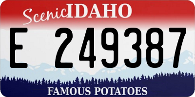 ID license plate E249387