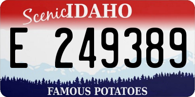ID license plate E249389
