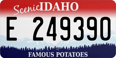 ID license plate E249390