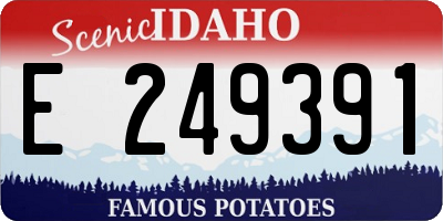 ID license plate E249391