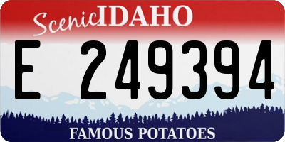 ID license plate E249394