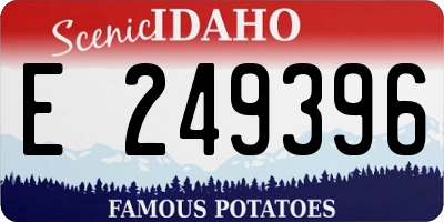 ID license plate E249396