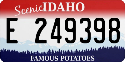 ID license plate E249398