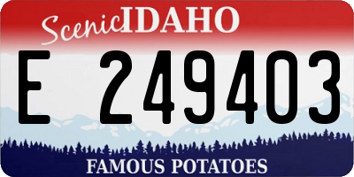ID license plate E249403