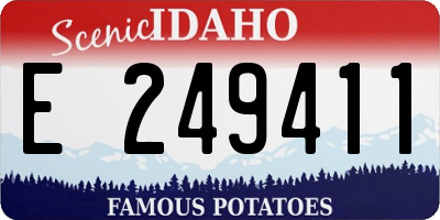 ID license plate E249411