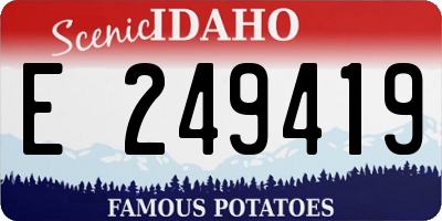 ID license plate E249419