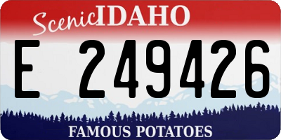 ID license plate E249426