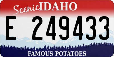 ID license plate E249433