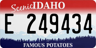 ID license plate E249434