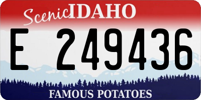 ID license plate E249436