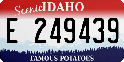 ID license plate E249439