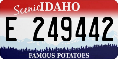 ID license plate E249442