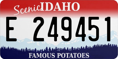 ID license plate E249451