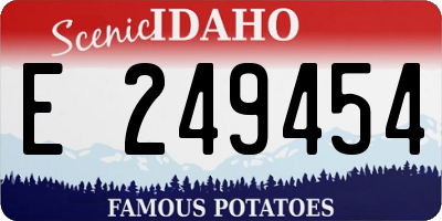 ID license plate E249454