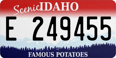ID license plate E249455