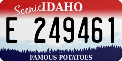 ID license plate E249461