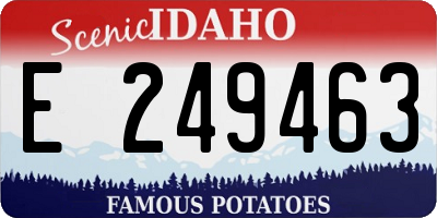 ID license plate E249463