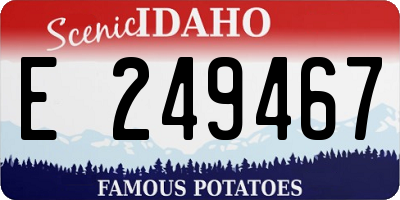 ID license plate E249467