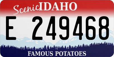 ID license plate E249468