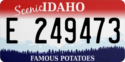 ID license plate E249473