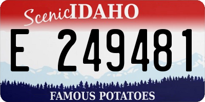 ID license plate E249481