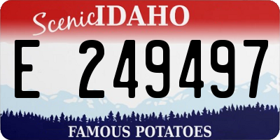 ID license plate E249497