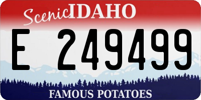 ID license plate E249499