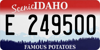 ID license plate E249500
