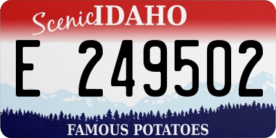 ID license plate E249502