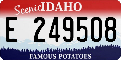 ID license plate E249508